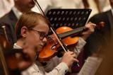 Violin