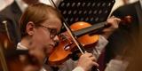Violin
